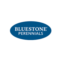 Bluestone Perennials